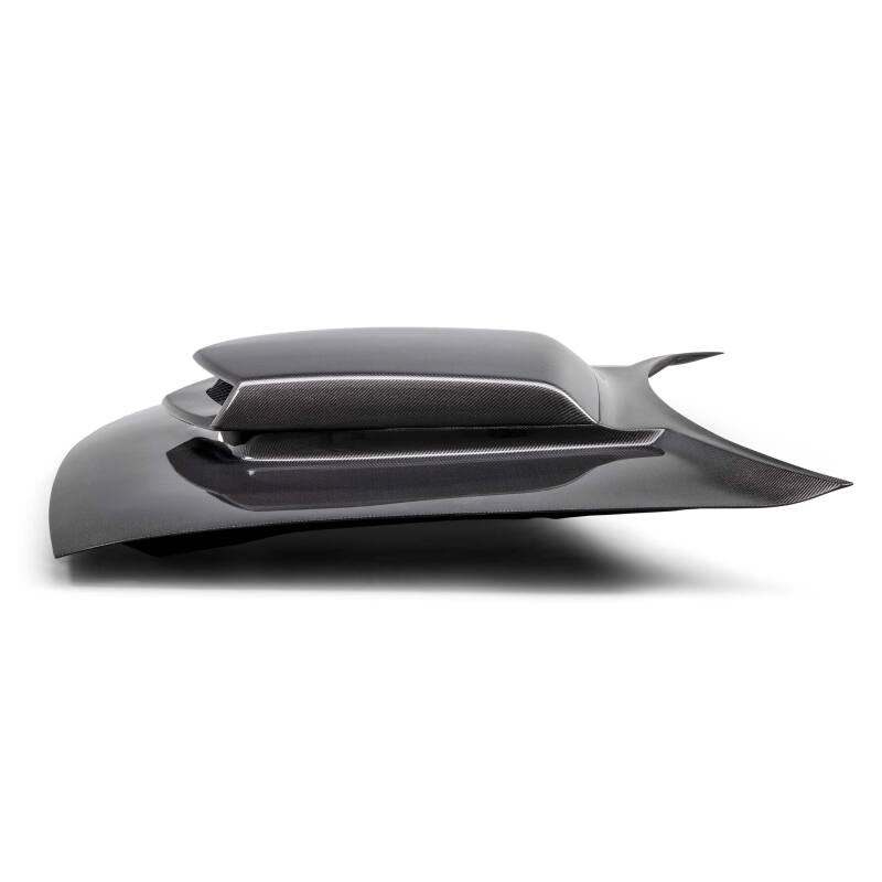 Anderson Composites 15-23 Dodge Challenger Type-HM Carbon Fiber Hood