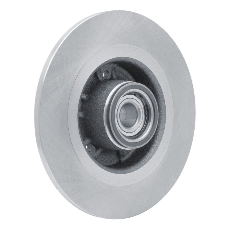 R1 03-06 Renault Laguna (Mexico) Rear Brake Rotor