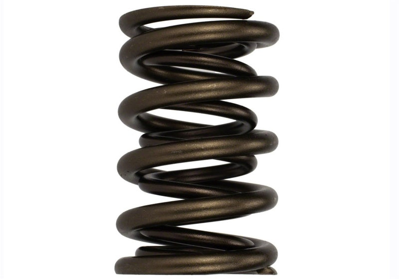 Ford Racing Replacement Hydraulic Roller Valve Spring - Single (For M-6049-SCJA)
