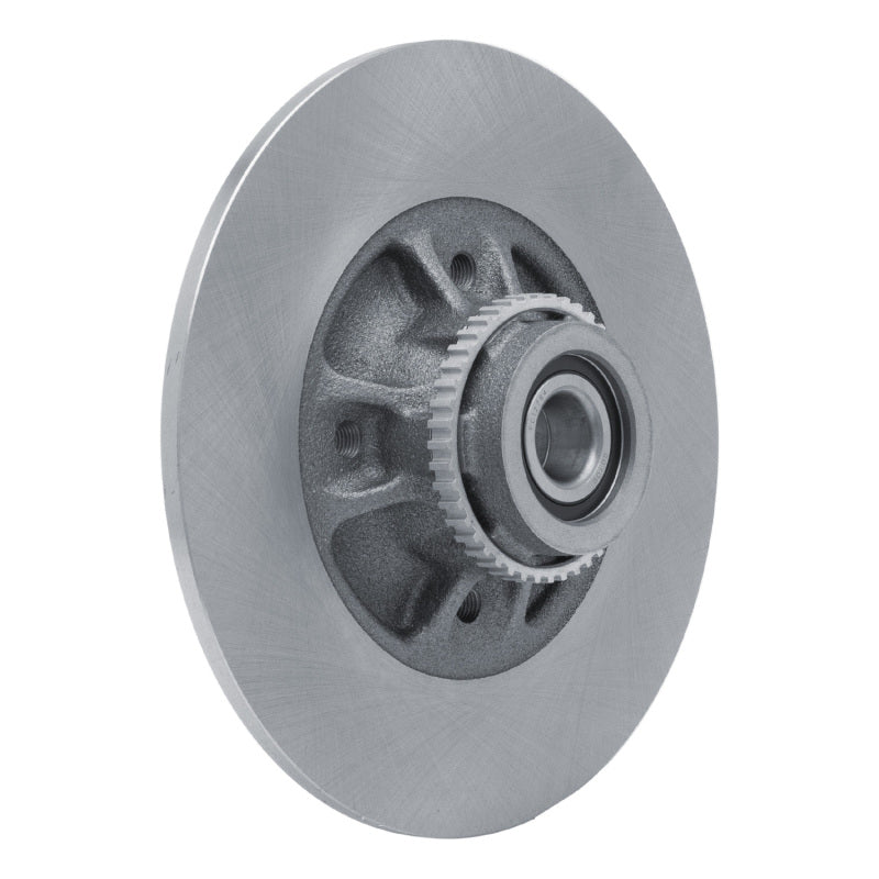 R1 02-10 Renault CLIO (Mexico) Rear Brake Rotor