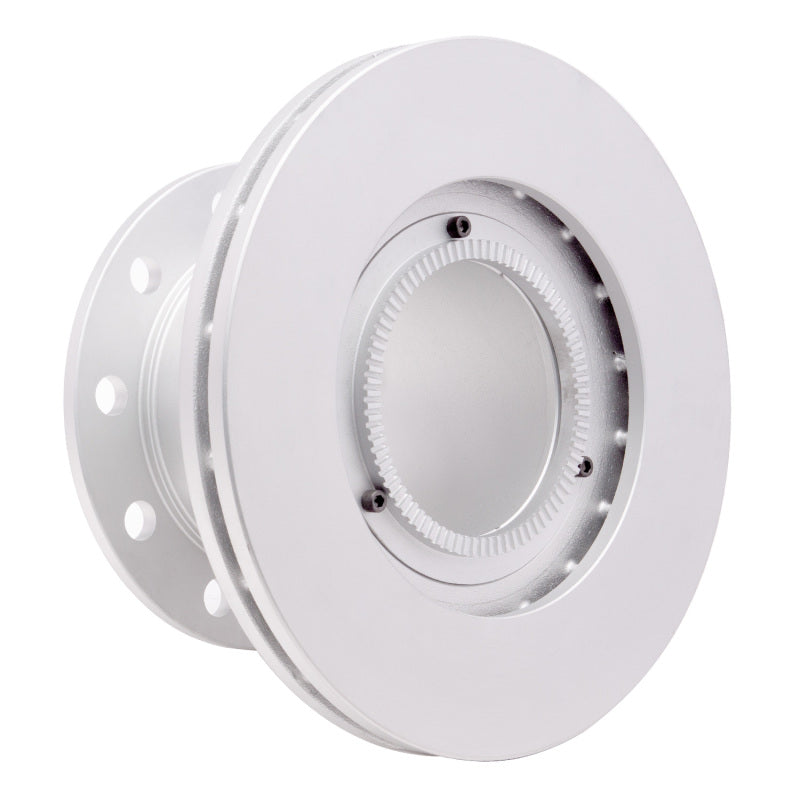 R1 06-12 Workhorse W42 (9) Rear GeoSPEC Coated Rotor