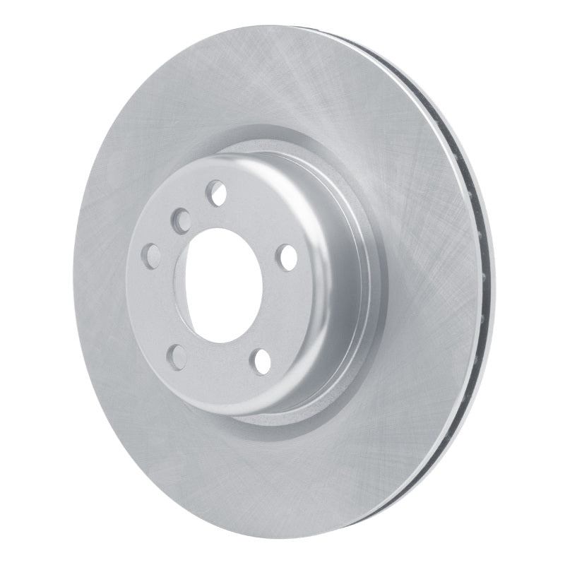 R1 12-20 BMW 320I (Mexico) Rear Brake Rotor