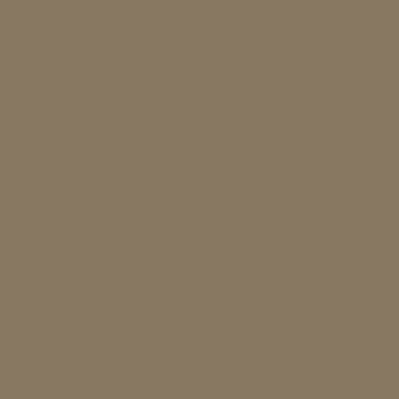 Covercraft 19-24 Toyota Rav4 Endura PrecisionFit Custom Front Row Seat Covers - Tan/Tan