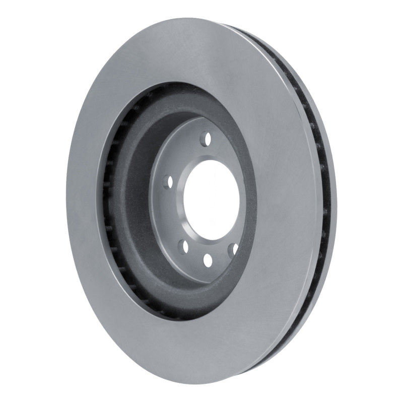 R1 2005-2009 Land Rover Range Rover Sport Front Brake Rotor