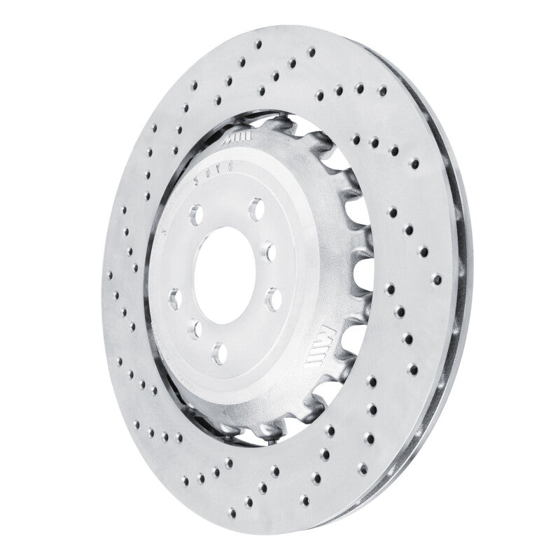 R1 12-19 BMW M6 Left Rear Drilled Carbon Alloy GeoMET Rotor