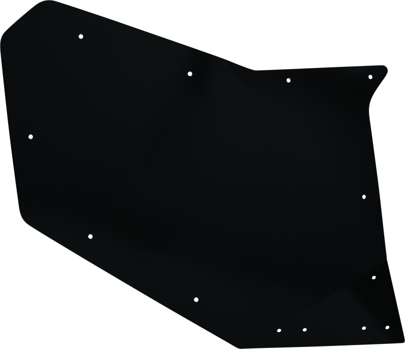 DragonFire Racing Rear Driver Side Door Skin For 522137
