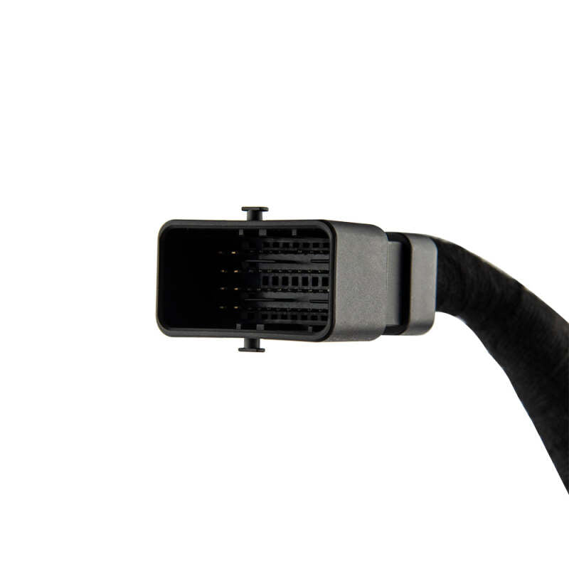 DS18 Plug and Play Harness For Harley Davidson For DS18 Amp Connection w/ Factory Radio
