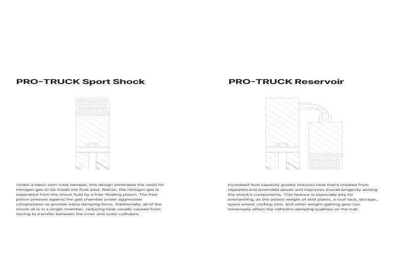 Eibach 18-20 Ford F-150 2WD Diesel Rear Pro-Truck Sports Shock - Single