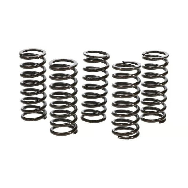 Wiseco Clutch Spring Kit Honda TRX400EX/X99-14 Clutch Basket