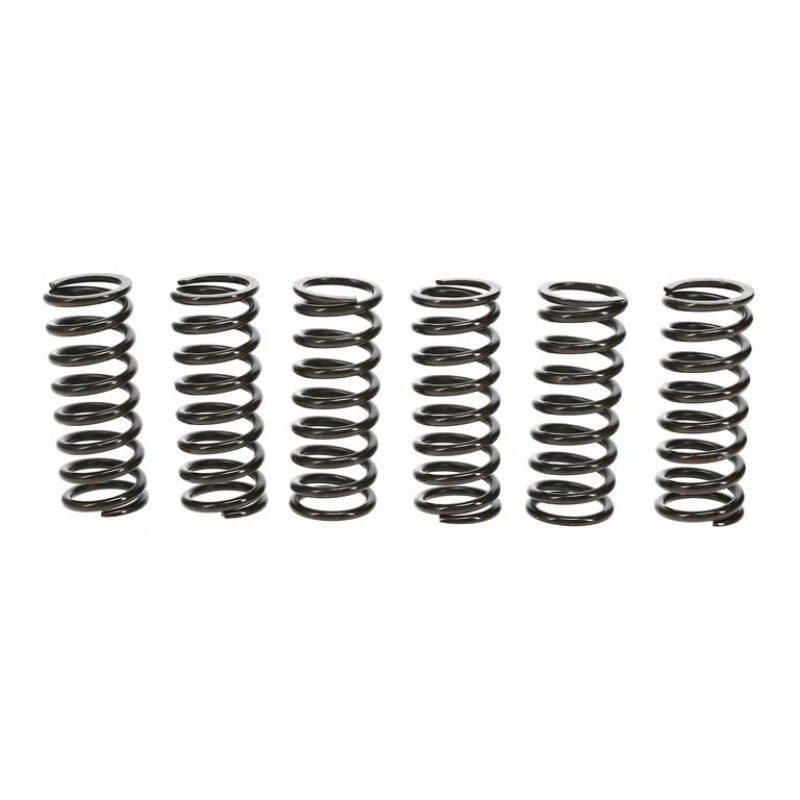 Wiseco CR125R/KTM125SX/250SXF Clutch Spring Kit