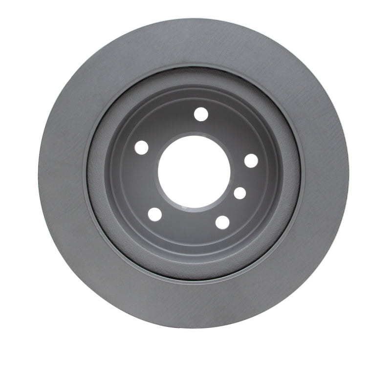 R1 09-16 BMW Z4 Rear GeoSPEC Coated Rotor