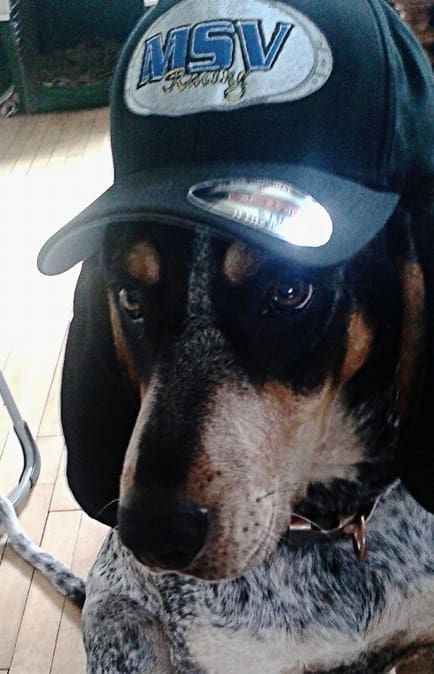 Unofficial, Official MSV Racing Team Member: Hot Dog