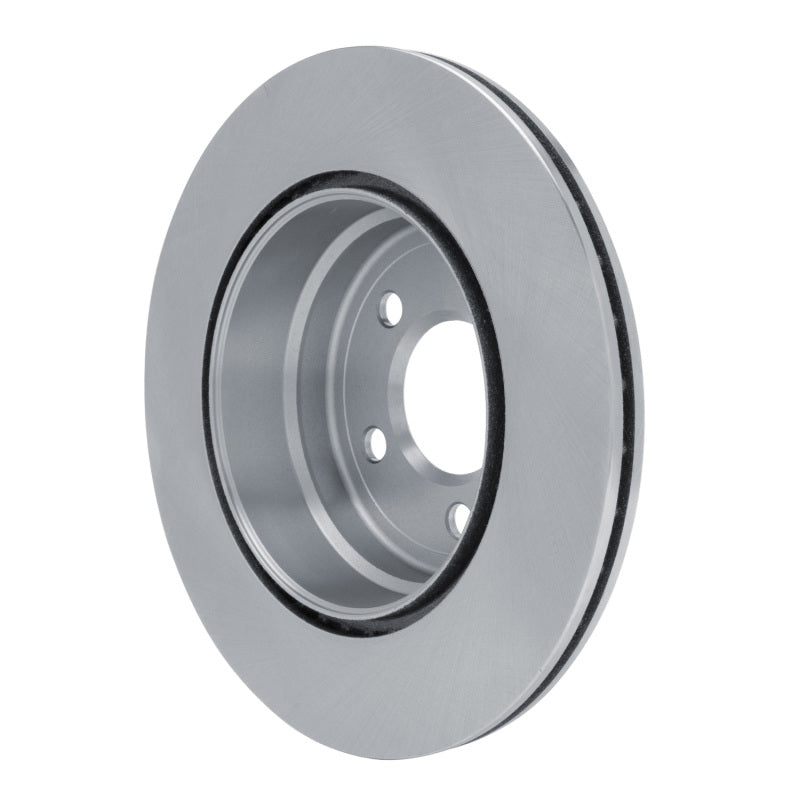 R1 07-19 BMW X6 Rear Brake Rotor