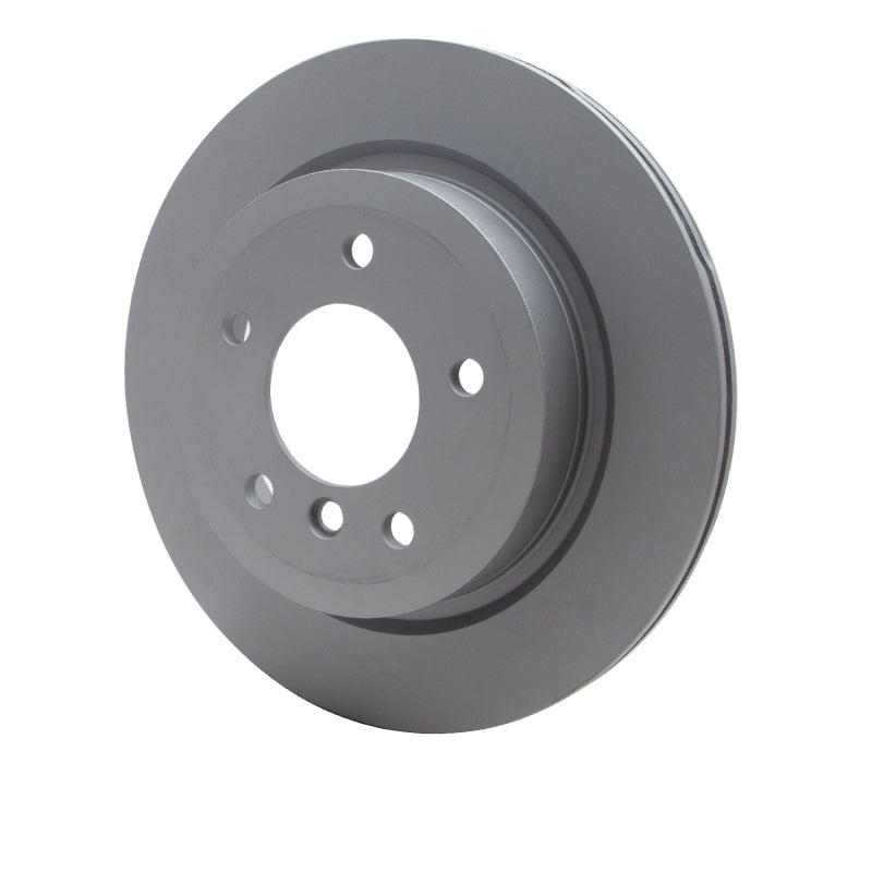 R1 09-16 BMW Z4 Rear GeoSPEC Coated Rotor