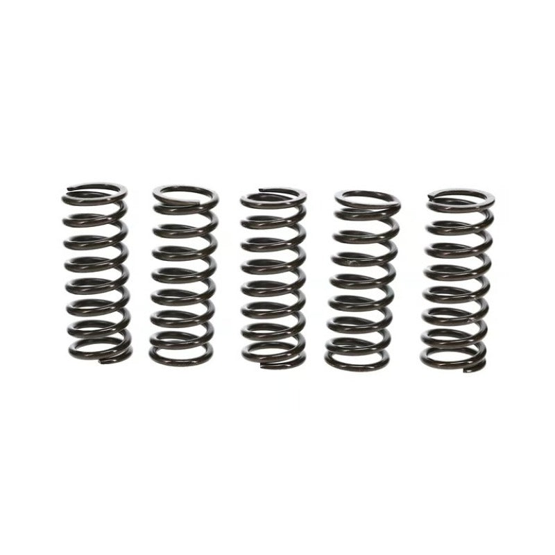 Wiseco Clutch Spring Kit Honda TRX400EX/X99-14 Clutch Basket