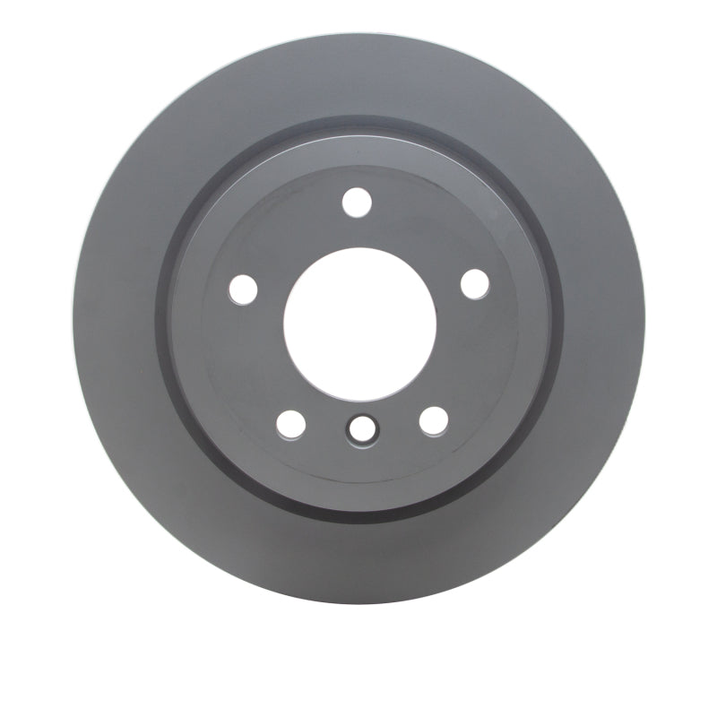 R1 09-16 BMW Z4 Rear GeoSPEC Coated Rotor
