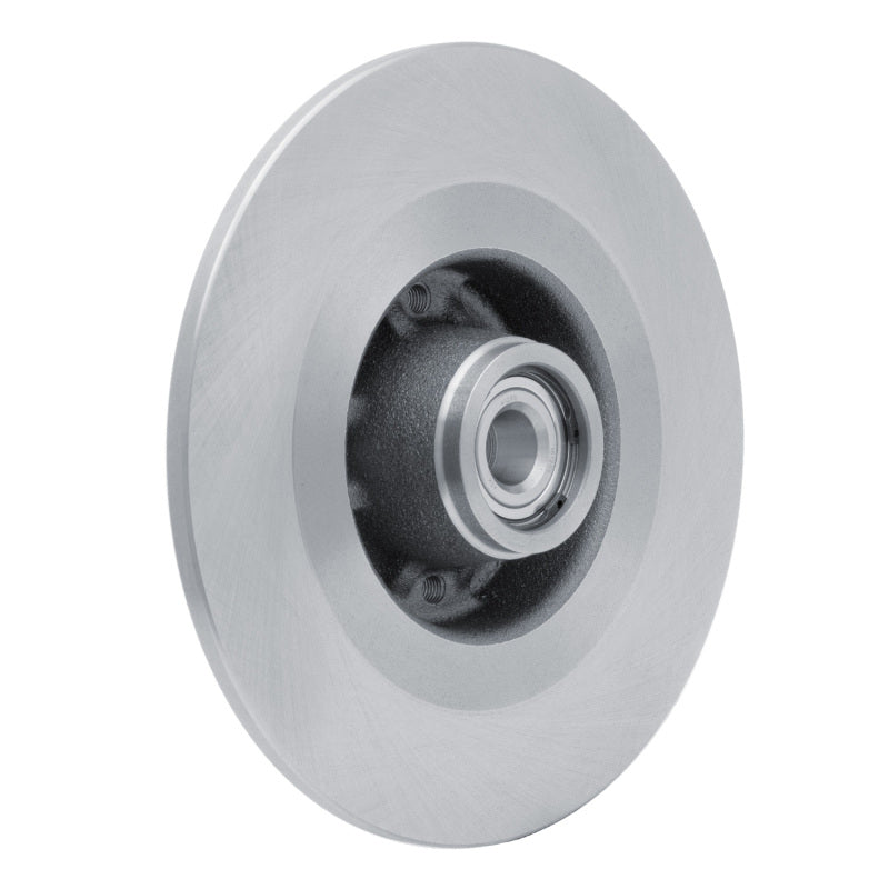 R1 99-03 Renault SCENIC (Mexico) Rear Brake Rotor