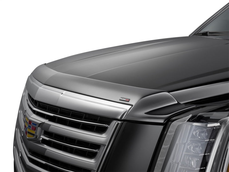 WeatherTech 2025 Chevrolet Equinox Hood Skin Protector - Black