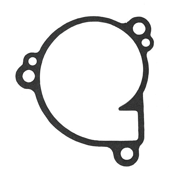 KX500 H2O Pump Gasket image 0