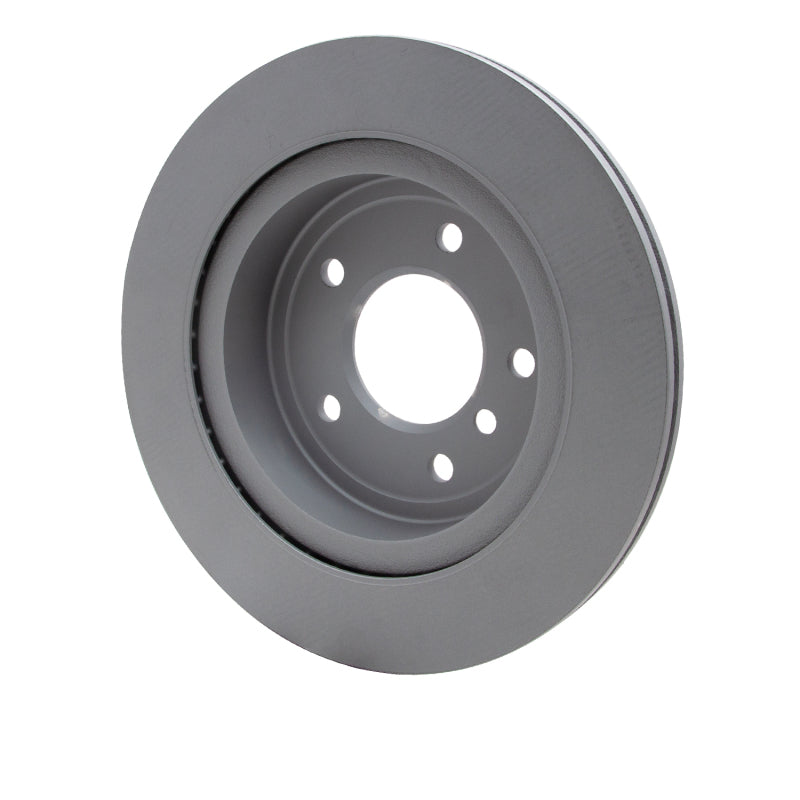 R1 09-16 BMW Z4 Rear GeoSPEC Coated Rotor