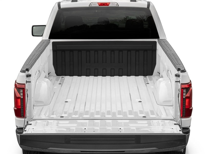 WeatherTech 15-26 Ford F-150 Cab Protector - Black