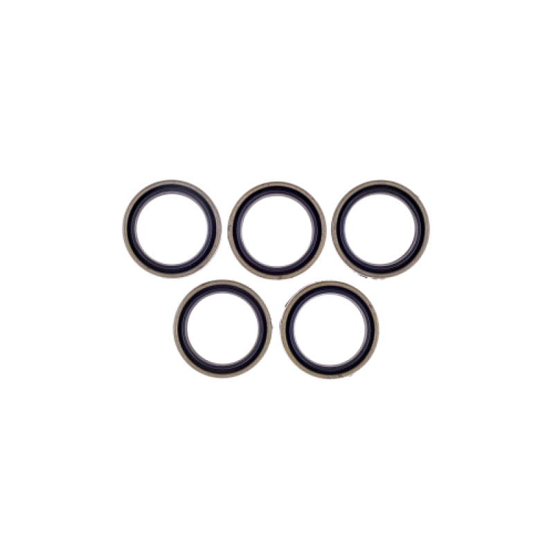 Cometic 04- XL Harley-Davidson T/C & Crankcase Oil Seal 5PK