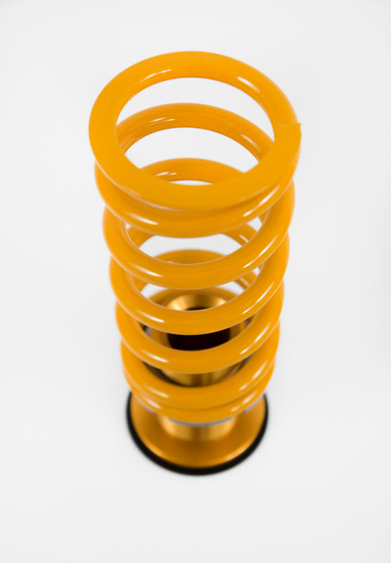 Ohlins 16-20 Audi A3/S3/RS3/TT/TTS (8V) Road & Track Coilover System