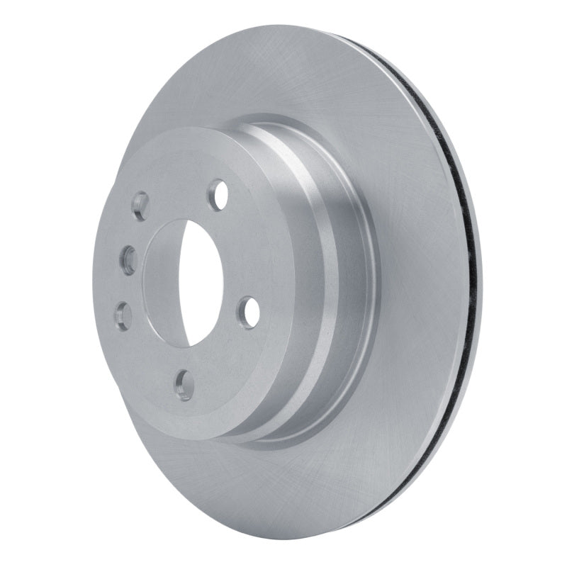 R1 07-19 BMW X6 Rear Brake Rotor
