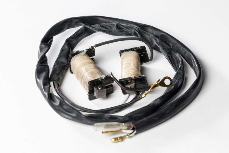 Ricks Motorsport Stator Rebuild Kit
