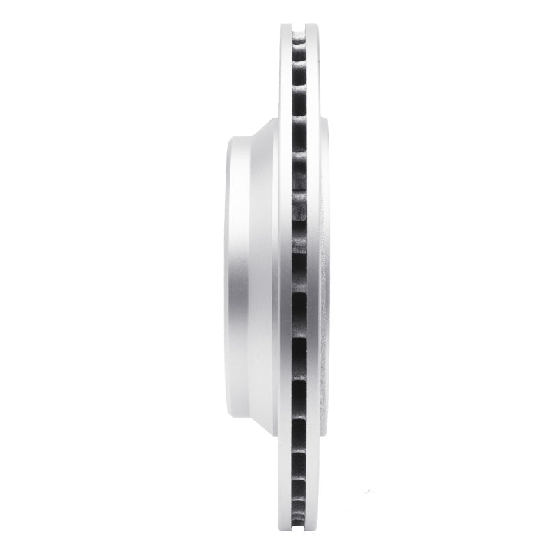 R1 00-06 Mercedes-Benz S500 Rear GeoSPEC Coated Rotor