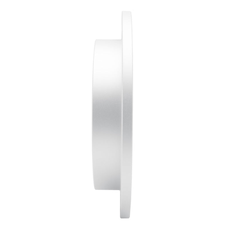 R1 03-11 Lincoln Town Car Rear GeoSPEC Coated Rotor