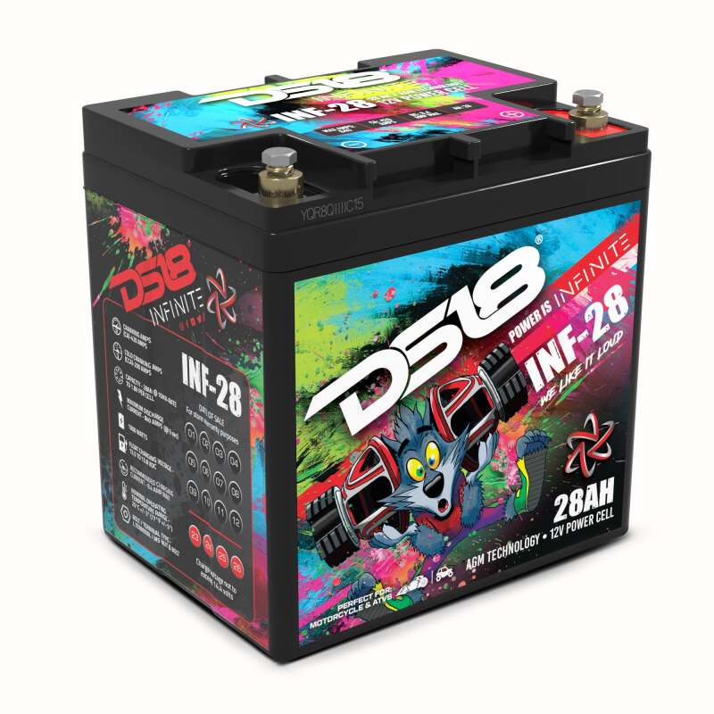 DS18 1000 Watts 28 AH Infinite AGM Power Cell Battery