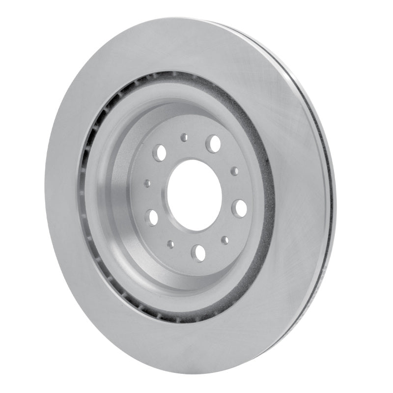 R1 17-25 Tesla Model 3 Rear Brake Rotor