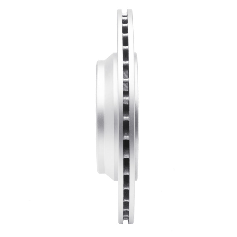 R1 01-02 Mercedes-Benz S600 Rear GeoSPEC Coated Rotor