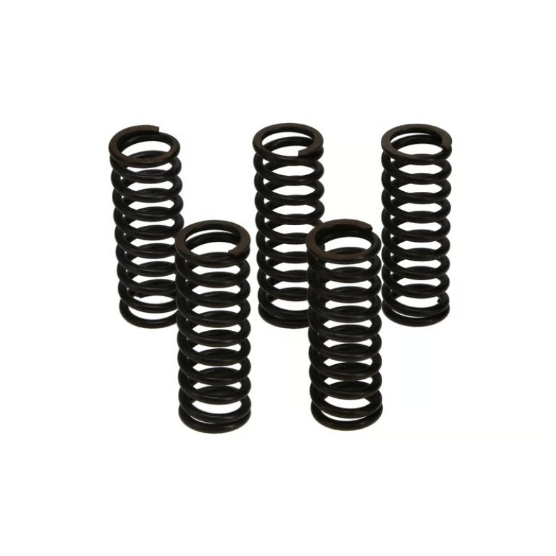 Wiseco Yamaha YZ125/660R Raptor Clutch Spring Kit