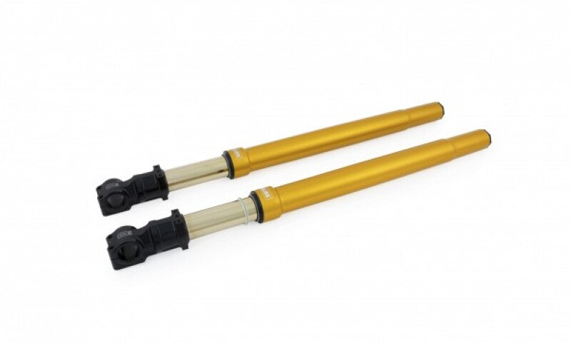 Ohlins Front Fork USD V-Twin 50/54/800 Gold *See Tech Notes*
