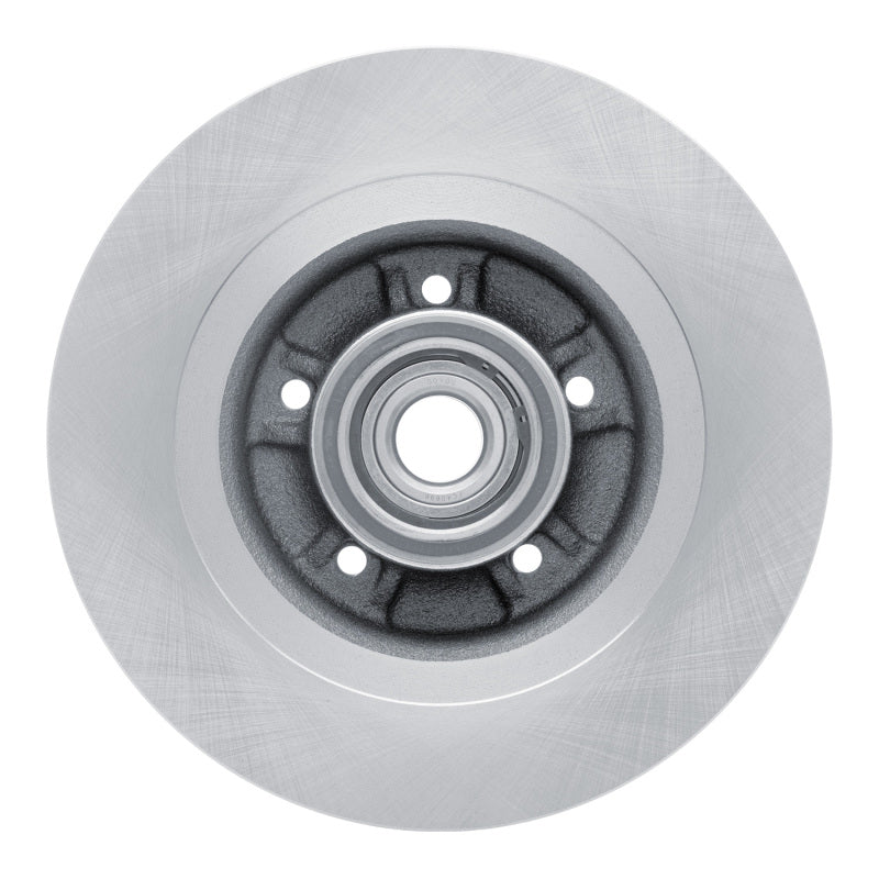 R1 03-06 Renault Laguna (Mexico) Rear Brake Rotor