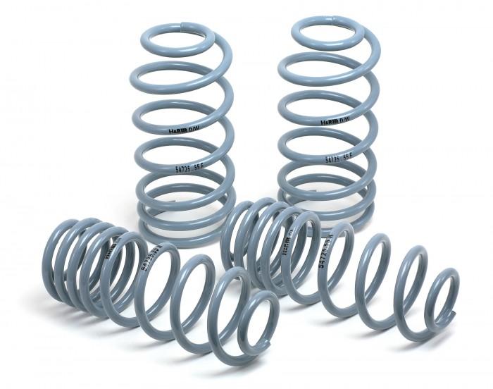 H&R 08-15 Audi A5/A5 Quattro/S5 (2WD/AWD) B8 OE Sport Spring